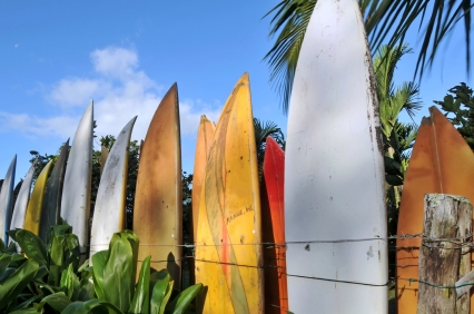 fence made from surfboards