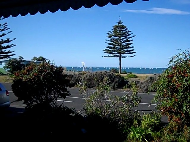 landscape during the day