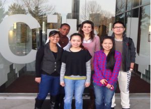 capsimteam