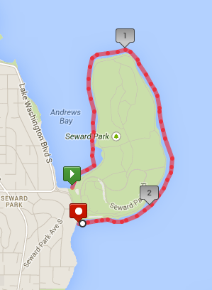mapmyswim