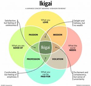 Ikigai L